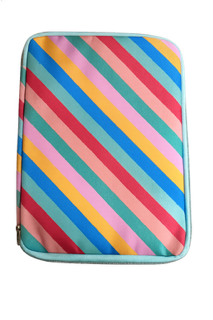 Joyful Stripes Bible & Book Cover